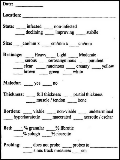 031 ulcer template